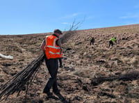Campaign to save Exmoor peatlands