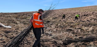 Campaign to save Exmoor peatlands