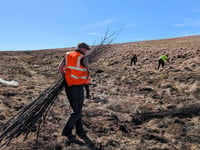 Campaign to save Exmoor peatlands