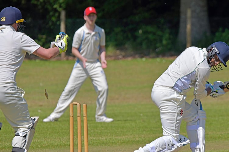 Somerset League Division Three cricket