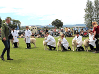 School open day includes country fair