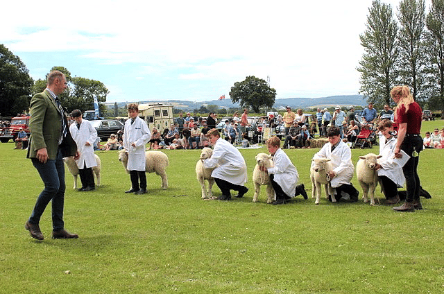 School open day includes country fair