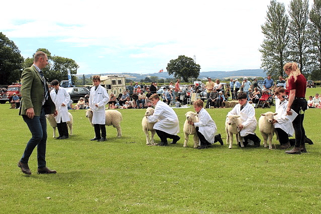 Sheep judging at a previous Brymore Academy open day and country fair.