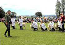 Thousands expected to attend Brymore's annual open day and country fair