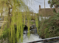 Elderly man dies in bridge fall into river
