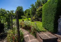 Hundreds visit Stogumber for open gardens weekend and raise record amount