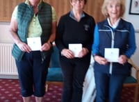 Minehead trio triumph in county senior's spring meeting 