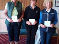 Minehead trio triumph in county senior's spring meeting 