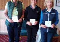 Minehead trio triumph in county senior's spring meeting
