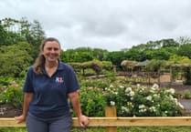 Wiveliscombe gardener's ambitious plan to restore care home roses