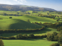 River improved by landscape scheme