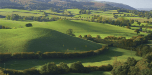 River improved by landscape scheme