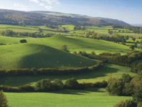 River improved by landscape scheme