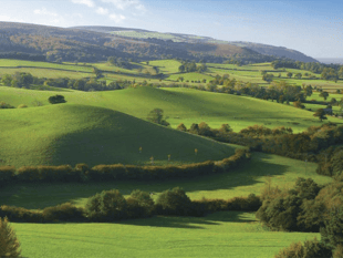 River improved by landscape scheme