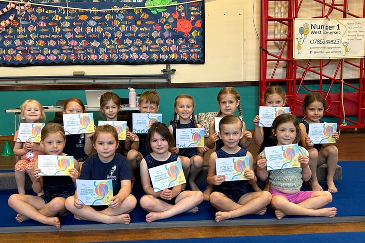 Reception age members of the Number 1 Gymnastics Club who took part in the club's annual competition in Minehead.