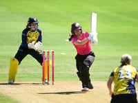 Luff's half-century in vain as Somerset slump to Durham 
