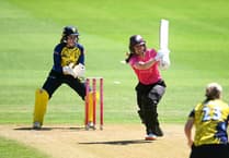 Luff's half-century in vain as Somerset slump to Durham