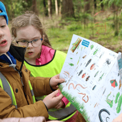 'Back to nature' scheme launched for children