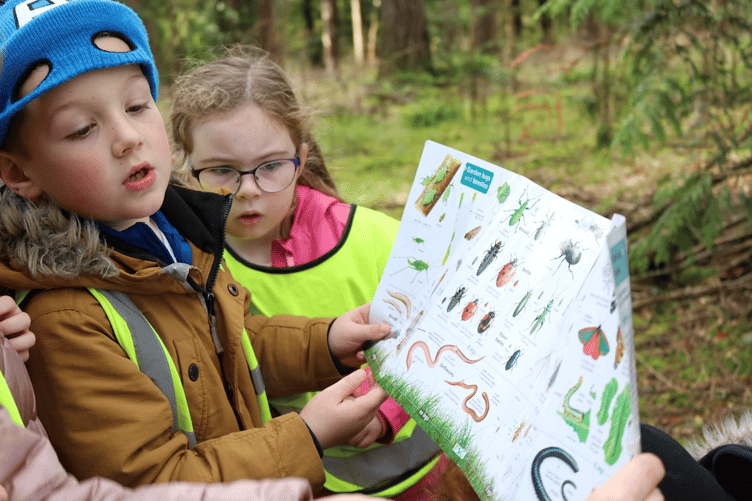 Children enjoying learning about nature with the Field Studies Council.