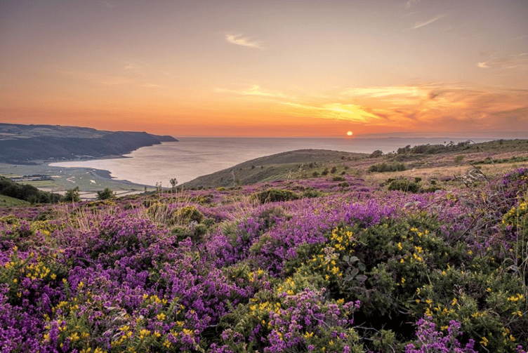 A classic Exmoor National Park scene. PHOTO: Shaun Davey.