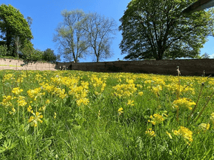 Quantock Hills nature secrets on show