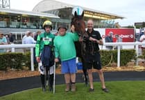 Thetype Istitle wins on stable debut for Pipe