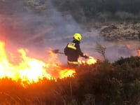 Report suspicious heatwave behaviour says park authority
