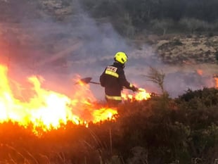 Report suspicious heatwave behaviour says park authority
