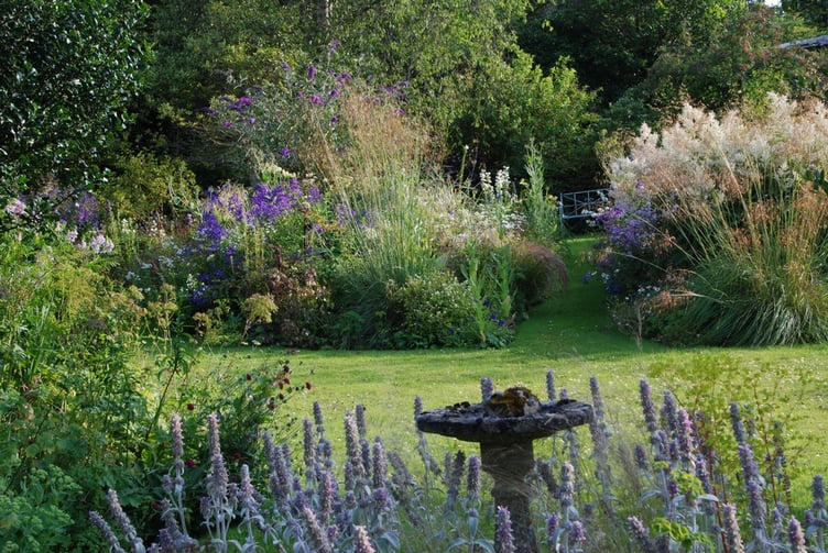 A view of Elworthy Cottage gardens which is opening as part of the National Gardens Scheme.
