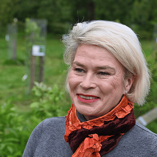 'Impossible choices' for bluetongue farmers