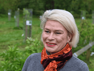 Gilmour calls on Government to protect Search and Rescue