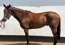 Eight-time Swedish-born winner Harry is up for sale