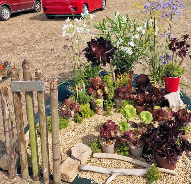 3rd Watchet Garden and Flower Show