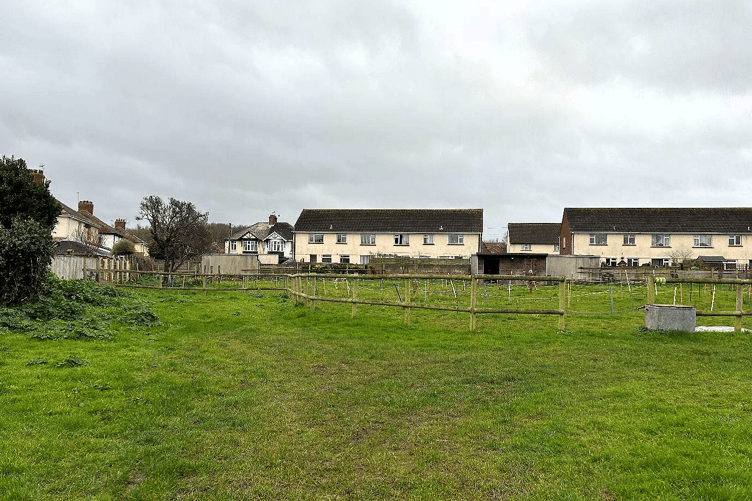 The view from the application site towards its southern boundary (Culvercliffe Road).