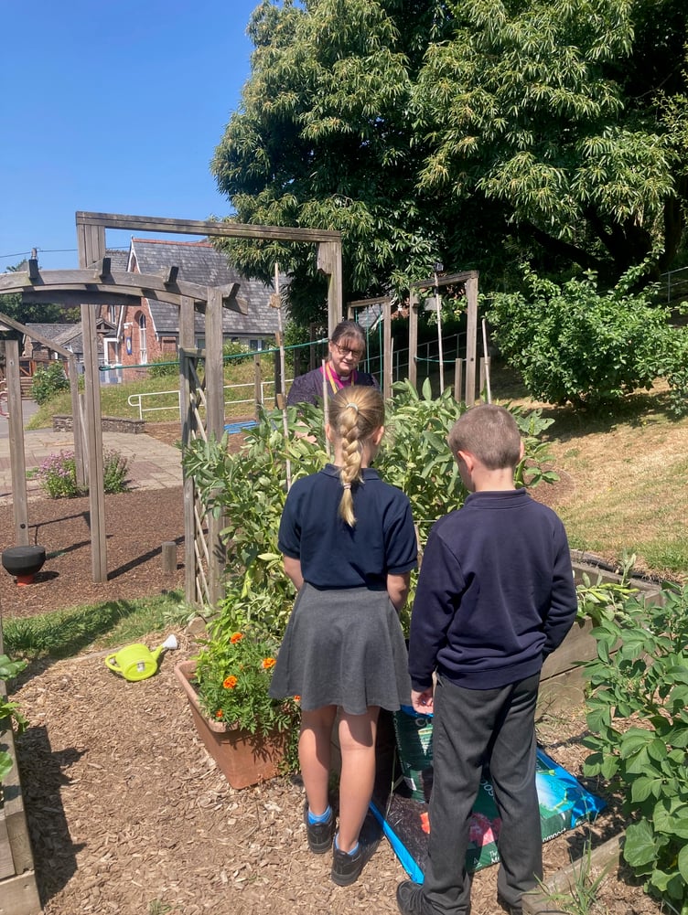 Cutcombe School