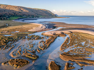 Discovering secrets of Porlock Marsh