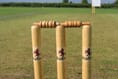 Somerset League third division cricket