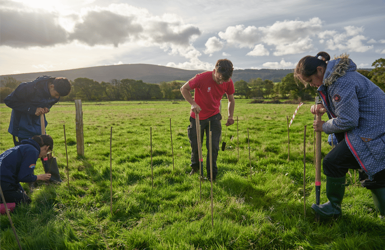 A recent National trust tree planting event.