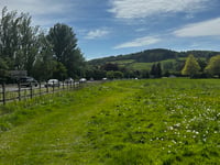 New community orchard project launches