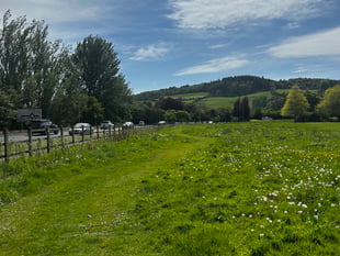 New community orchard project launches