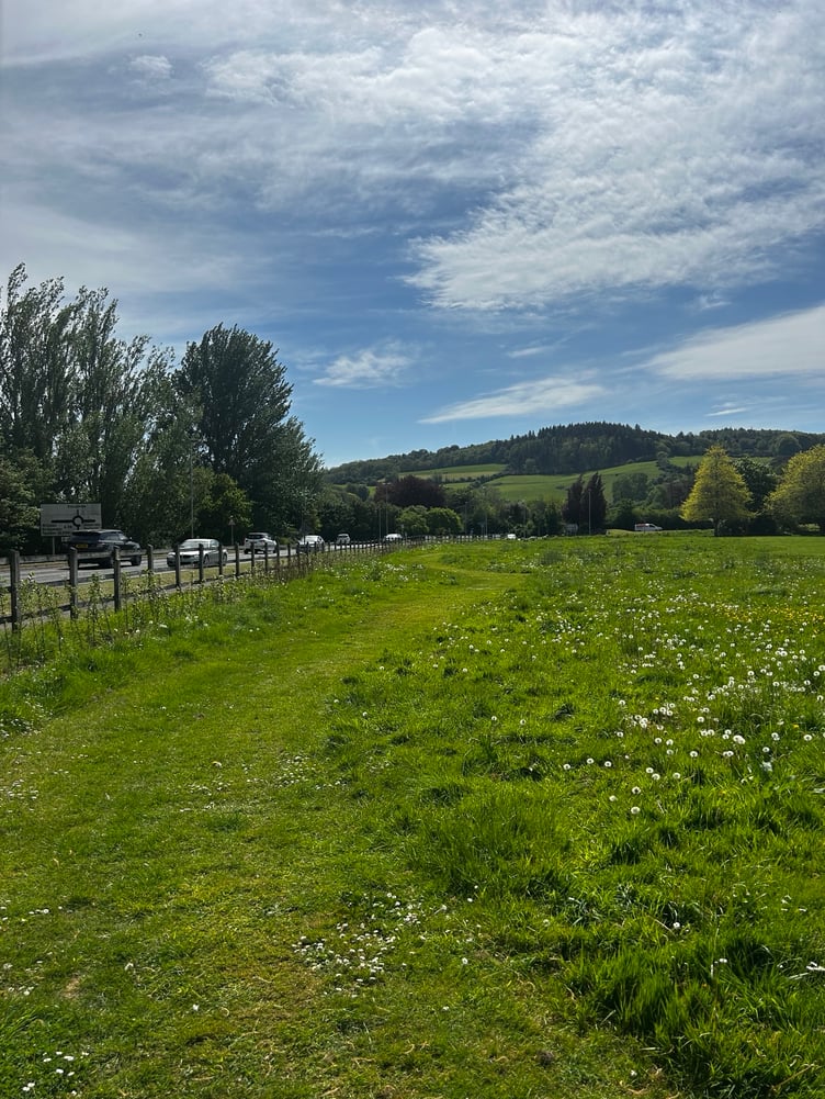The Ellicombe green space in Minehead where a new community orchard is to be created.
