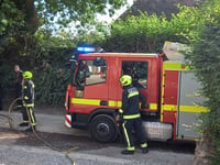 Neighbours save dogs and chickens in garden fire