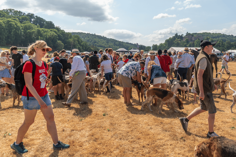 A near-capacity crowd attended the 48th Dunster Country Fair. PHOTO: LadnersPix Photography.