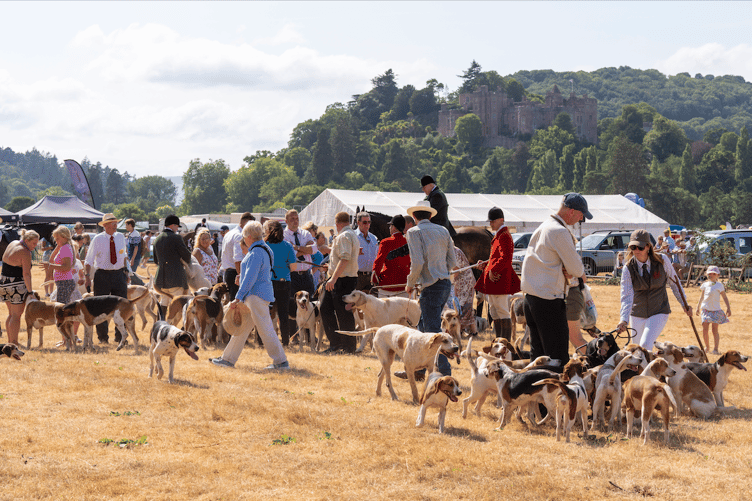 Hounds meet the crowds attending Dunster Country Fair. PHOTO: LadnersPix Photography.