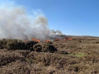 Fire brigade 'stretched to breaking'