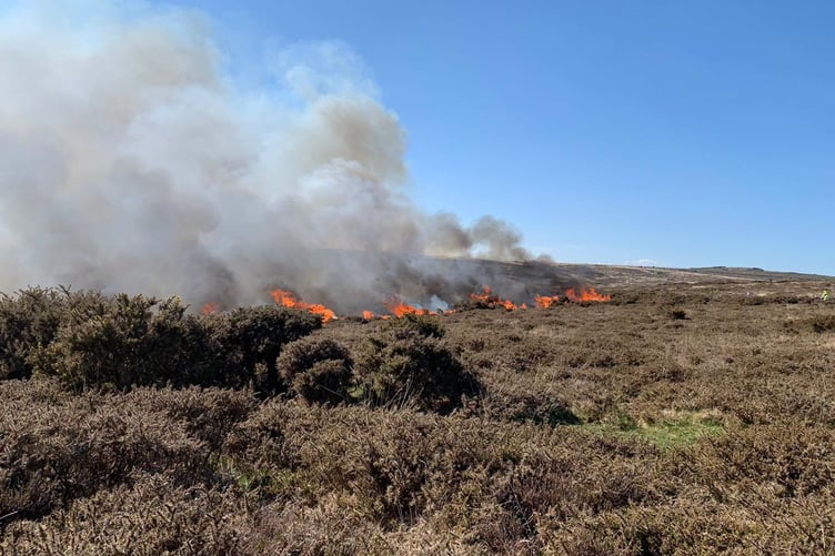 A moorland wildfire which was just one of hundreds dealt with by Devon and SomersetFire and Rescue this year.