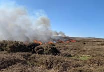 Record wildfire season as fire service suffers shortage of on-call crews