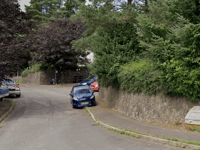 Car and hedge destroyed in fire