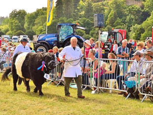 Thousands expected for 'amazing' Dunster Show