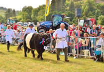 Final preparations underway for Dunster Show celebration of countryside life